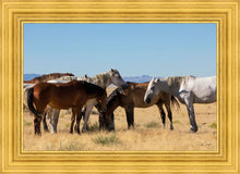 Load image into Gallery viewer, Mingle