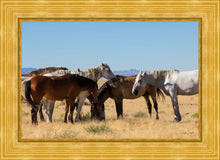 Load image into Gallery viewer, Mingle
