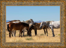Load image into Gallery viewer, Mingle