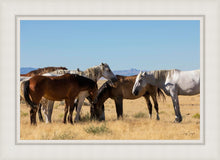 Load image into Gallery viewer, Mingle