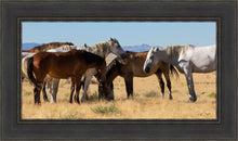 Load image into Gallery viewer, Mingle