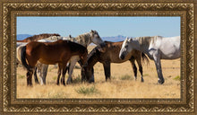 Load image into Gallery viewer, Mingle