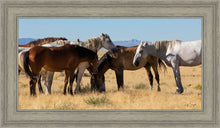 Load image into Gallery viewer, Mingle