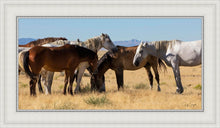 Load image into Gallery viewer, Mingle