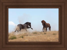 Load image into Gallery viewer, Turf War