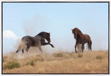 Load image into Gallery viewer, Turf War