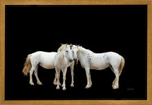 Load image into Gallery viewer, Three White Horses