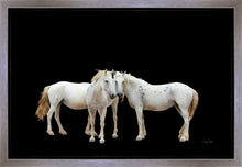 Load image into Gallery viewer, Three White Horses