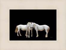 Load image into Gallery viewer, Three White Horses