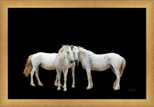 Load image into Gallery viewer, Three White Horses