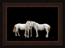 Load image into Gallery viewer, Three White Horses