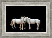 Load image into Gallery viewer, Three White Horses