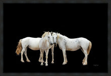 Load image into Gallery viewer, Three White Horses