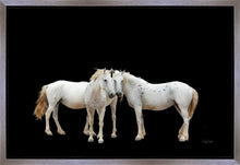 Load image into Gallery viewer, Three White Horses