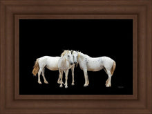 Load image into Gallery viewer, Three White Horses