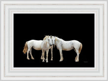 Load image into Gallery viewer, Three White Horses