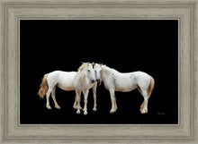Load image into Gallery viewer, Three White Horses