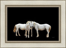 Load image into Gallery viewer, Three White Horses
