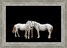 Load image into Gallery viewer, Three White Horses