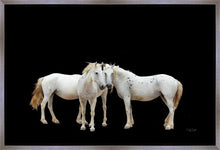 Load image into Gallery viewer, Three White Horses