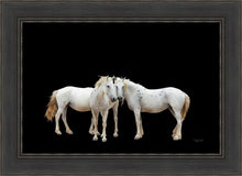 Load image into Gallery viewer, Three White Horses