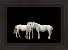 Load image into Gallery viewer, Three White Horses