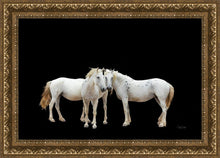 Load image into Gallery viewer, Three White Horses