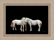 Load image into Gallery viewer, Three White Horses