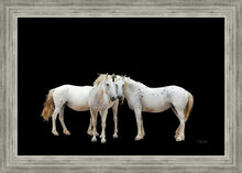 Load image into Gallery viewer, Three White Horses