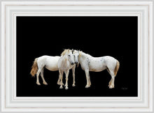 Load image into Gallery viewer, Three White Horses