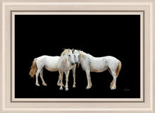 Load image into Gallery viewer, Three White Horses