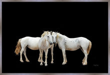 Load image into Gallery viewer, Three White Horses