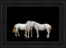 Load image into Gallery viewer, Three White Horses