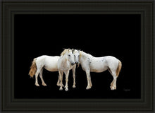 Load image into Gallery viewer, Three White Horses