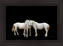 Load image into Gallery viewer, Three White Horses