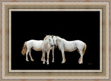 Load image into Gallery viewer, Three White Horses