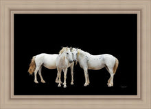 Load image into Gallery viewer, Three White Horses