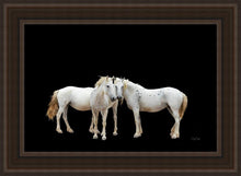 Load image into Gallery viewer, Three White Horses