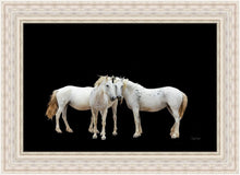 Load image into Gallery viewer, Three White Horses