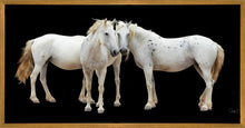 Load image into Gallery viewer, Three White Horses
