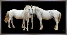Load image into Gallery viewer, Three White Horses