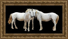 Load image into Gallery viewer, Three White Horses