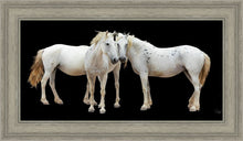 Load image into Gallery viewer, Three White Horses