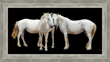 Load image into Gallery viewer, Three White Horses