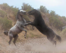 Load image into Gallery viewer, Fight In The Wash