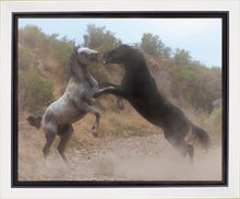 Load image into Gallery viewer, Fight In The Wash