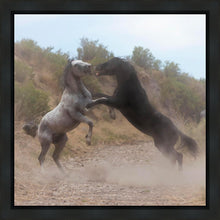 Load image into Gallery viewer, Fight In The Wash