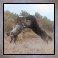 Load image into Gallery viewer, Fight In The Wash