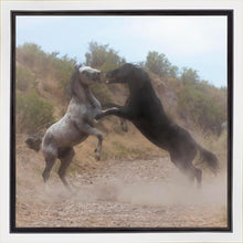 Load image into Gallery viewer, Fight In The Wash