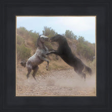 Load image into Gallery viewer, Fight In The Wash